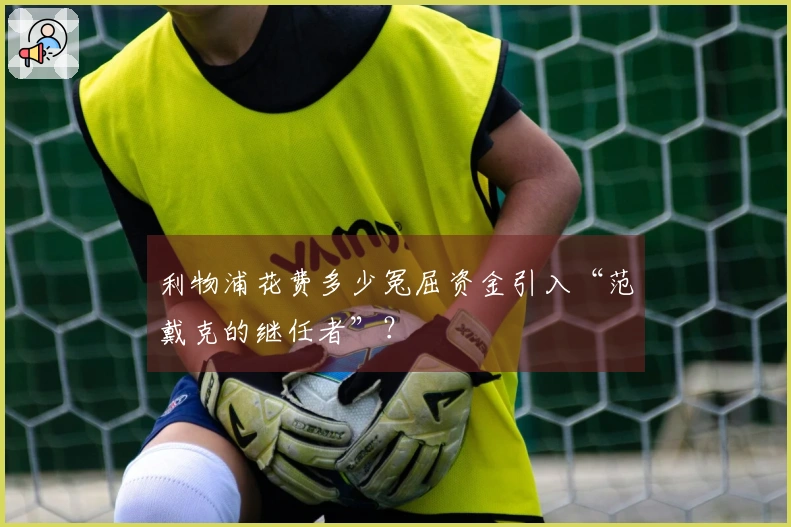 利物浦花费多少冤屈资金引入“范戴克的继任者”？